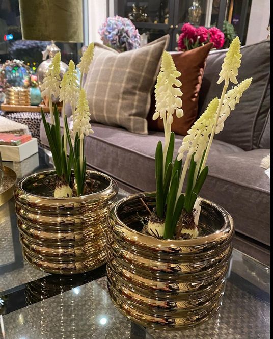 Hovedbilde Perleblomst creme uten potte