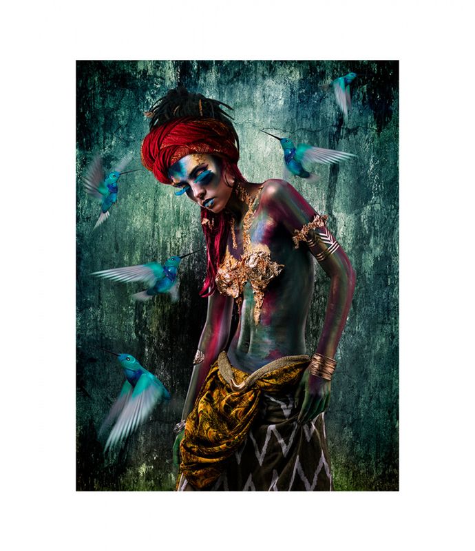 KOLIBRI GN8237 100x150cm printet på plexi