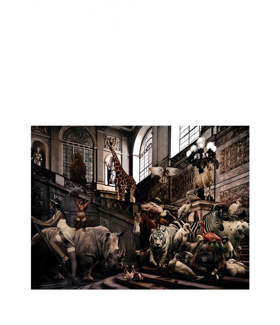 Hovedbilde CITY JUNGLE GN8400  120*80   fra Cobra Art