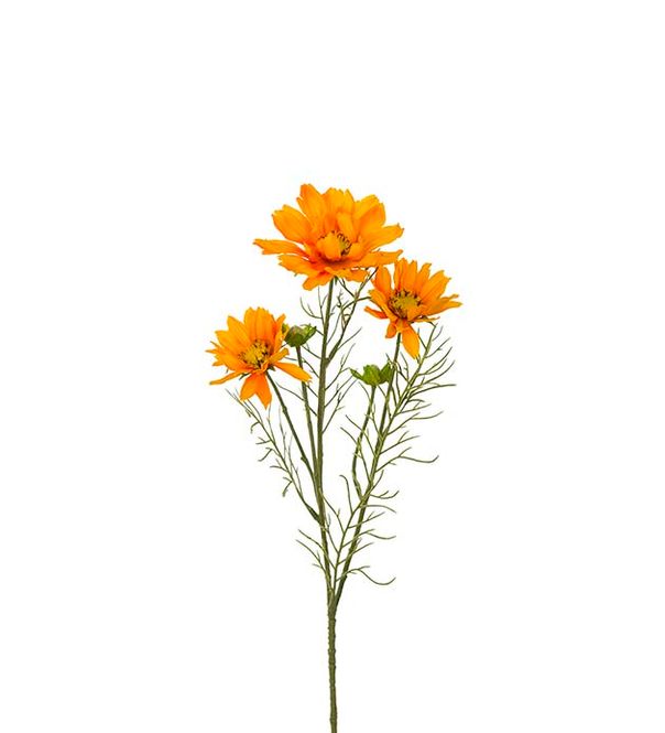 Hovedbilde Rosenskära Item no.: 4058-35  Colour Orange - ...
