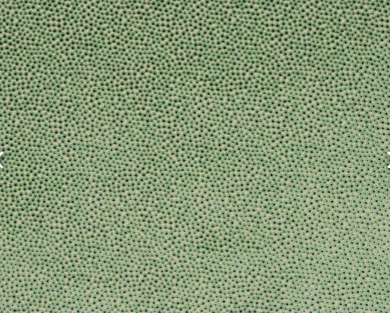 Darwin J0249 fabric Jane Churchill 