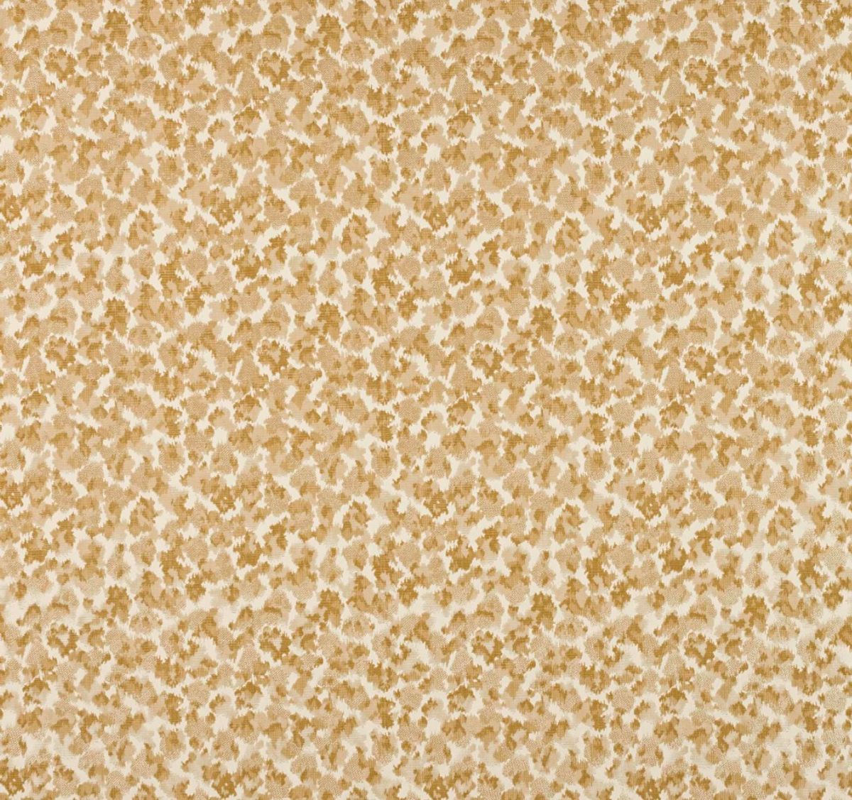 Java M4150 fra Manuel Canovas